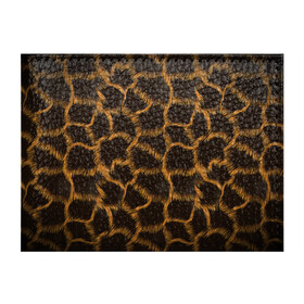 Обложка для студенческого билета с принтом Леопард в Белгороде, натуральная кожа | Размер: 11*8 см; Печать на всей внешней стороне | Тематика изображения на принте: леопард | леопардовые пятна | пятна леопарда
