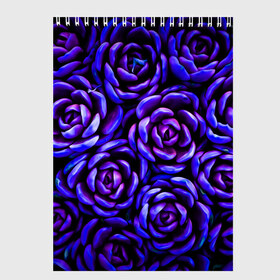 Скетчбук с принтом Lovely Roses в Белгороде, 100% бумага
 | 48 листов, плотность листов — 100 г/м2, плотность картонной обложки — 250 г/м2. Листы скреплены сверху удобной пружинной спиралью | Тематика изображения на принте: flowers | large | lovely roses | plants | purple | roses | succulent | texture | крупный | прекрасные розы | растения | розы | суккулент | текстура | фиолетовый | цветы