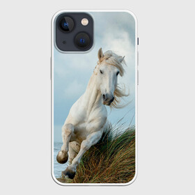 Чехол для iPhone 13 mini с принтом Лошадь в Белгороде,  |  | животные | звери | кони | конь | коняшка | лошади | лошадка | лошадь | пони | природа