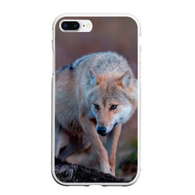 Чехол для iPhone 7Plus/8 Plus матовый с принтом Волк в Белгороде, Силикон | Область печати: задняя сторона чехла, без боковых панелей | Тематика изображения на принте: wolf | wolfs | волк | волки | волчара | животные | звери | лес | природа
