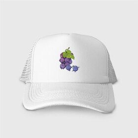 Кепка тракер с сеткой с принтом Виноградинки в Белгороде, трикотажное полотно; задняя часть — сетка | длинный козырек, универсальный размер, пластиковая застежка | арт | веточка винограда | виноград | виноградинки | мило | милота | рисунок | свежая ягода | свежие ягоды | свежий продукт | синий виноград | ягода | ягоды