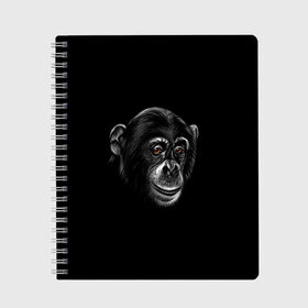 Тетрадь с принтом Обезьяна в Белгороде, 100% бумага | 48 листов, плотность листов — 60 г/м2, плотность картонной обложки — 250 г/м2. Листы скреплены сбоку удобной пружинной спиралью. Уголки страниц и обложки скругленные. Цвет линий — светло-серый
 | животные | обезьяна | обезьяны | приматы | шимпанзе