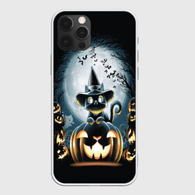 Чехол для iPhone 12 Pro Max с принтом Хэллоуин Кот в Белгороде, Силикон |  | 2020 | cat | cats | halloween | джек | киса | кисуля | кот | котик | коты | кошечка | ленивец | мяу | октябрь | панда | призрак | призраки | собака | тыква | хеллоуин | хелоуин | хэллоуин | хэлоуин | черный кот | щеночек