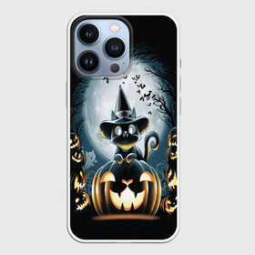 Чехол для iPhone 13 Pro с принтом Хэллоуин Кот в Белгороде,  |  | 2020 | cat | cats | halloween | джек | киса | кисуля | кот | котик | коты | кошечка | ленивец | мяу | октябрь | панда | призрак | призраки | собака | тыква | хеллоуин | хелоуин | хэллоуин | хэлоуин | черный кот | щеночек