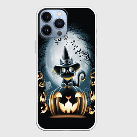 Чехол для iPhone 13 Pro Max с принтом Хэллоуин Кот в Белгороде,  |  | 2020 | cat | cats | halloween | джек | киса | кисуля | кот | котик | коты | кошечка | ленивец | мяу | октябрь | панда | призрак | призраки | собака | тыква | хеллоуин | хелоуин | хэллоуин | хэлоуин | черный кот | щеночек