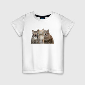 Детская футболка хлопок с принтом удивленные коты в Белгороде, 100% хлопок | круглый вырез горловины, полуприлегающий силуэт, длина до линии бедер | котики | надписи | прикол | удивление | черный кот