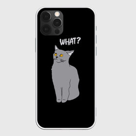 Чехол для iPhone 12 Pro Max с принтом What cat в Белгороде, Силикон |  | cat | kitten | kitty | what кот | британская кошка | британский кот | в смысле | взгляд | вопрос | вопросительный знак | глаза кота | животные | кот мем | котенок | котик | котята | кошак | кошка | мемы