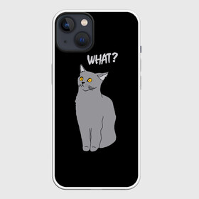Чехол для iPhone 13 с принтом What cat в Белгороде,  |  | cat | kitten | kitty | what кот | британская кошка | британский кот | в смысле | взгляд | вопрос | вопросительный знак | глаза кота | животные | кот мем | котенок | котик | котята | кошак | кошка | мемы