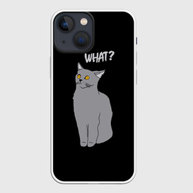 Чехол для iPhone 13 mini с принтом What cat в Белгороде,  |  | cat | kitten | kitty | what кот | британская кошка | британский кот | в смысле | взгляд | вопрос | вопросительный знак | глаза кота | животные | кот мем | котенок | котик | котята | кошак | кошка | мемы