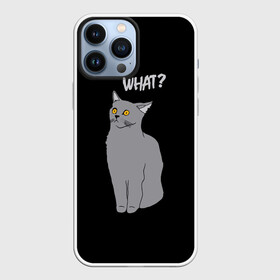 Чехол для iPhone 13 Pro Max с принтом What cat в Белгороде,  |  | Тематика изображения на принте: cat | kitten | kitty | what кот | британская кошка | британский кот | в смысле | взгляд | вопрос | вопросительный знак | глаза кота | животные | кот мем | котенок | котик | котята | кошак | кошка | мемы