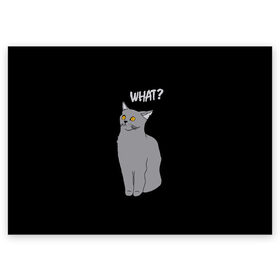 Поздравительная открытка с принтом What cat в Белгороде, 100% бумага | плотность бумаги 280 г/м2, матовая, на обратной стороне линовка и место для марки
 | cat | kitten | kitty | what кот | британская кошка | британский кот | в смысле | взгляд | вопрос | вопросительный знак | глаза кота | животные | кот мем | котенок | котик | котята | кошак | кошка | мемы