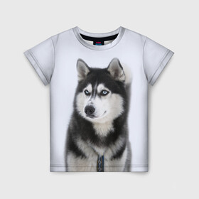 Детская футболка 3D с принтом ХАСКИ в Белгороде, 100% гипоаллергенный полиэфир | прямой крой, круглый вырез горловины, длина до линии бедер, чуть спущенное плечо, ткань немного тянется | Тематика изображения на принте: dog | husky | милый | пес | песик | собака | собачка | хаски | щенок