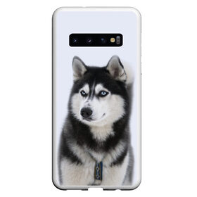 Чехол для Samsung Galaxy S10 с принтом ХАСКИ в Белгороде, Силикон | Область печати: задняя сторона чехла, без боковых панелей | Тематика изображения на принте: dog | husky | милый | пес | песик | собака | собачка | хаски | щенок