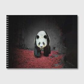 Альбом для рисования с принтом ПАНДА в Белгороде, 100% бумага
 | матовая бумага, плотность 200 мг. | panda | большая | в зоопарке | забавная | медведь | милая | панда | пандочка