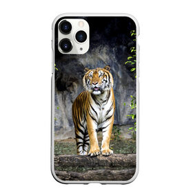 Чехол для iPhone 11 Pro матовый с принтом ТИГР В ЛЕСУ в Белгороде, Силикон |  | Тематика изображения на принте: tiger | амурский | бенгальский | в зоопарке | в лесу | дикий | кошка | крупная | полосатый | тигр | тигренок | тигрица