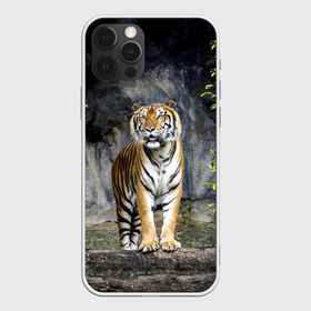 Чехол для iPhone 12 Pro Max с принтом ТИГР В ЛЕСУ в Белгороде, Силикон |  | Тематика изображения на принте: tiger | амурский | бенгальский | в зоопарке | в лесу | дикий | кошка | крупная | полосатый | тигр | тигренок | тигрица
