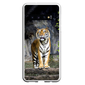 Чехол для Samsung Galaxy S10 с принтом ТИГР В ЛЕСУ в Белгороде, Силикон | Область печати: задняя сторона чехла, без боковых панелей | tiger | амурский | бенгальский | в зоопарке | в лесу | дикий | кошка | крупная | полосатый | тигр | тигренок | тигрица