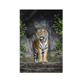 Обложка для паспорта матовая кожа с принтом ТИГР В ЛЕСУ в Белгороде, натуральная матовая кожа | размер 19,3 х 13,7 см; прозрачные пластиковые крепления | Тематика изображения на принте: tiger | амурский | бенгальский | в зоопарке | в лесу | дикий | кошка | крупная | полосатый | тигр | тигренок | тигрица