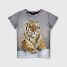 Детская футболка 3D с принтом ТИГР ЗИМОЙ в Белгороде, 100% гипоаллергенный полиэфир | прямой крой, круглый вырез горловины, длина до линии бедер, чуть спущенное плечо, ткань немного тянется | Тематика изображения на принте: tiger | амурский | бенгальский | дикий | зима | зимой | кошка | крупная | полосатый | тигр | тигренок | тигрица