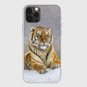 Чехол для iPhone 12 Pro Max с принтом ТИГР ЗИМОЙ в Белгороде, Силикон |  | Тематика изображения на принте: tiger | амурский | бенгальский | дикий | зима | зимой | кошка | крупная | полосатый | тигр | тигренок | тигрица
