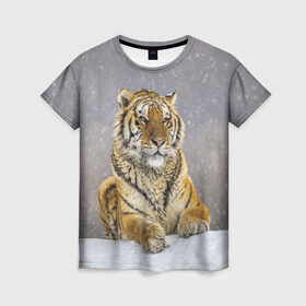 Женская футболка 3D с принтом ТИГР ЗИМОЙ в Белгороде, 100% полиэфир ( синтетическое хлопкоподобное полотно) | прямой крой, круглый вырез горловины, длина до линии бедер | tiger | амурский | бенгальский | дикий | зима | зимой | кошка | крупная | полосатый | тигр | тигренок | тигрица