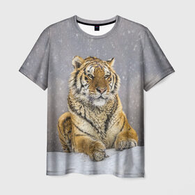 Мужская футболка 3D с принтом ТИГР ЗИМОЙ в Белгороде, 100% полиэфир | прямой крой, круглый вырез горловины, длина до линии бедер | tiger | амурский | бенгальский | дикий | зима | зимой | кошка | крупная | полосатый | тигр | тигренок | тигрица