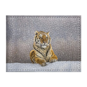 Обложка для студенческого билета с принтом ТИГР ЗИМОЙ в Белгороде, натуральная кожа | Размер: 11*8 см; Печать на всей внешней стороне | Тематика изображения на принте: tiger | амурский | бенгальский | дикий | зима | зимой | кошка | крупная | полосатый | тигр | тигренок | тигрица