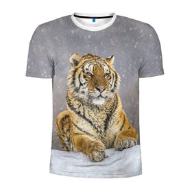 Мужская футболка 3D спортивная с принтом ТИГР ЗИМОЙ в Белгороде, 100% полиэстер с улучшенными характеристиками | приталенный силуэт, круглая горловина, широкие плечи, сужается к линии бедра | Тематика изображения на принте: tiger | амурский | бенгальский | дикий | зима | зимой | кошка | крупная | полосатый | тигр | тигренок | тигрица