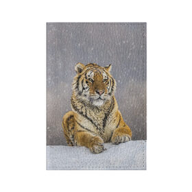Обложка для паспорта матовая кожа с принтом ТИГР ЗИМОЙ в Белгороде, натуральная матовая кожа | размер 19,3 х 13,7 см; прозрачные пластиковые крепления | Тематика изображения на принте: tiger | амурский | бенгальский | дикий | зима | зимой | кошка | крупная | полосатый | тигр | тигренок | тигрица