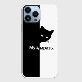Чехол для iPhone 13 Pro Max с принтом Черный кот в Белгороде,  |  | буквы | глаза | кот | котик | кошка | минимал | надпись | настроение | простая надпись | текст | черно белое | черный кот | черный фон