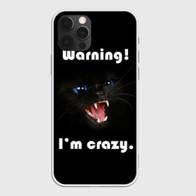 Чехол для iPhone 12 Pro Max с принтом Осторожно! Я крэйзи в Белгороде, Силикон |  | голубые глаза | жизненная цитата | злой кот | кот | крутой кот | я сумасшедший