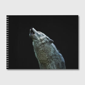 Альбом для рисования с принтом Воющий волк в Белгороде, 100% бумага
 | матовая бумага, плотность 200 мг. | Тематика изображения на принте: ауф | волк | воющий волк | животное | зверь