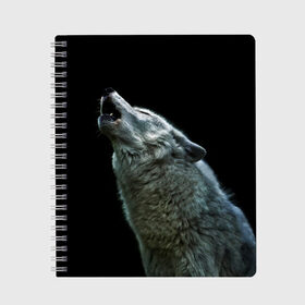 Тетрадь с принтом Воющий волк в Белгороде, 100% бумага | 48 листов, плотность листов — 60 г/м2, плотность картонной обложки — 250 г/м2. Листы скреплены сбоку удобной пружинной спиралью. Уголки страниц и обложки скругленные. Цвет линий — светло-серый
 | Тематика изображения на принте: ауф | волк | воющий волк | животное | зверь