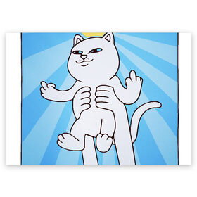 Поздравительная открытка с принтом кот-мем в Белгороде, 100% бумага | плотность бумаги 280 г/м2, матовая, на обратной стороне линовка и место для марки
 | animal | cat | mem | дикая кошка | домашнее животное | животные | кот | кот мем | кошка | прикол | смешной кот | четвероногое | шутка