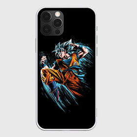 Чехол для iPhone 12 Pro Max с принтом Fighter в Белгороде, Силикон |  | anime | art | character | drawing | fighter | street fighter | аниме | арт | боец | каратист | персонаж | рисунок | уличный боец