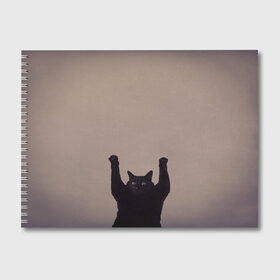 Альбом для рисования с принтом Кот сдается в Белгороде, 100% бумага
 | матовая бумага, плотность 200 мг. | cat | арест | испуг | кот | руки вверх | черный кот