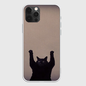 Чехол для iPhone 12 Pro Max с принтом Кот сдается в Белгороде, Силикон |  | cat | арест | испуг | кот | руки вверх | черный кот