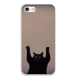 Чехол для iPhone 5/5S матовый с принтом Кот сдается в Белгороде, Силикон | Область печати: задняя сторона чехла, без боковых панелей | cat | арест | испуг | кот | руки вверх | черный кот