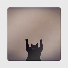 Магнит виниловый Квадрат с принтом Кот сдается в Белгороде, полимерный материал с магнитным слоем | размер 9*9 см, закругленные углы | cat | арест | испуг | кот | руки вверх | черный кот