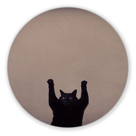 Коврик для мышки круглый с принтом Кот сдается в Белгороде, резина и полиэстер | круглая форма, изображение наносится на всю лицевую часть | cat | арест | испуг | кот | руки вверх | черный кот