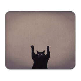 Коврик для мышки прямоугольный с принтом Кот сдается в Белгороде, натуральный каучук | размер 230 х 185 мм; запечатка лицевой стороны | cat | арест | испуг | кот | руки вверх | черный кот