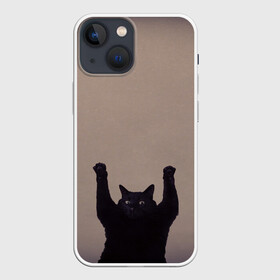 Чехол для iPhone 13 mini с принтом Кот сдается в Белгороде,  |  | cat | арест | испуг | кот | руки вверх | черный кот