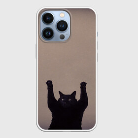 Чехол для iPhone 13 Pro с принтом Кот сдается в Белгороде,  |  | cat | арест | испуг | кот | руки вверх | черный кот