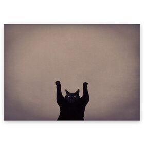 Поздравительная открытка с принтом Кот сдается в Белгороде, 100% бумага | плотность бумаги 280 г/м2, матовая, на обратной стороне линовка и место для марки
 | cat | арест | испуг | кот | руки вверх | черный кот