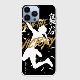 Чехол для iPhone 13 Pro Max с принтом Haikyu Grab The Victory в Белгороде,  |  | anime | bokuto | fly high | haiku | haikuu | haikyu | haikyuu | hinata | karasuno | kotaro | manga | shoe | аниме | бокуто | волейбол | кагеяма | карасуно | манга | сее | хайку | хината