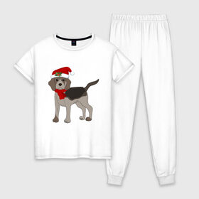 Женская пижама хлопок с принтом Новогодний Бигль в Белгороде, 100% хлопок | брюки и футболка прямого кроя, без карманов, на брюках мягкая резинка на поясе и по низу штанин | Тематика изображения на принте: 2021 | бигль | зима | зимняя собака | милый | нарядная собака | новогодний щенок | новый год | подарок | собака | собака в шапке | шарф | щенок | щенок с шарфом