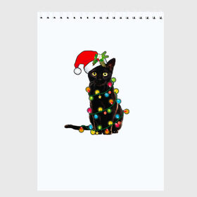 Скетчбук с принтом Новогодний кот в Белгороде, 100% бумага
 | 48 листов, плотность листов — 100 г/м2, плотность картонной обложки — 250 г/м2. Листы скреплены сверху удобной пружинной спиралью | Тематика изображения на принте: 2021 | белка | гирлянда | год быка | дед мороз | елка | енот | кот | котик | лиса | маска | неон | новогодний кот | новогодняя | новый год | олень | праздник | радуга | рождество | с новым годом | санта