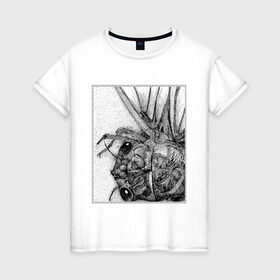 Женская футболка хлопок с принтом Цокотуха в Белгороде, 100% хлопок | прямой крой, круглый вырез горловины, длина до линии бедер, слегка спущенное плечо | глаза | крылья | муха | насекомое | цокотуха