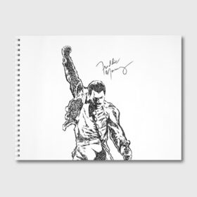 Альбом для рисования с принтом Freddie Mercury в Белгороде, 100% бумага
 | матовая бумага, плотность 200 мг. | Тематика изображения на принте: freddie mercury | queen | автограф | квин | фредди меркьюри