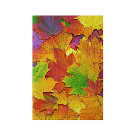 Обложка для паспорта матовая кожа с принтом Осенние листья в Белгороде, натуральная матовая кожа | размер 19,3 х 13,7 см; прозрачные пластиковые крепления | клён | краски | листья | осень | радуга | разноцветный | яркая